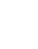 Logo 6